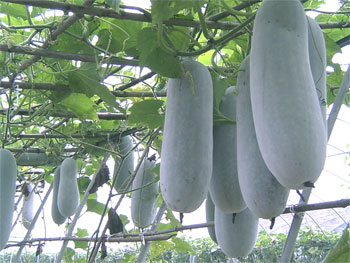20120801221502284.gif