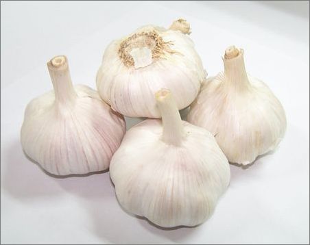 20120809014517744.jpg